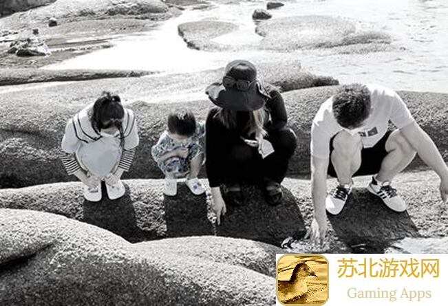 看完就学会！3大家用角色养成攻略，流萤机制速成秘籍，玩家必收藏