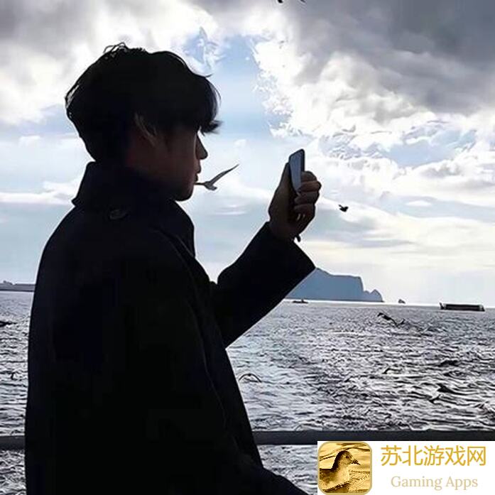 雷索纳斯乘员档案卡莲全攻略！玩转副本技巧大揭秘