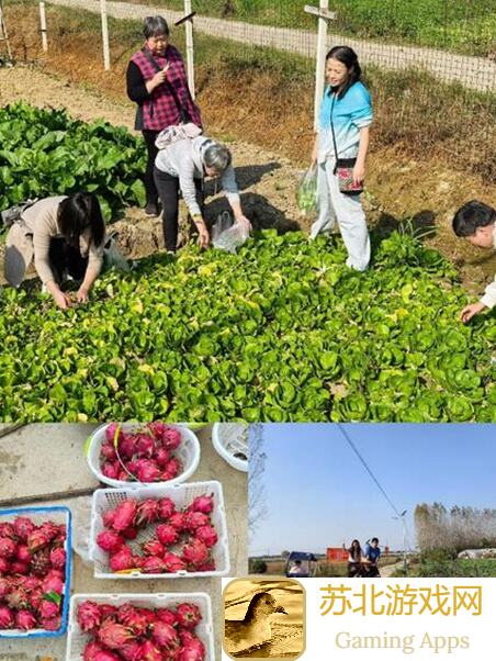 秋季采风阵容参考教你秒变绘旅大师！轻松通关不再难