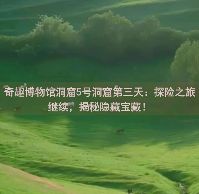 奇趣博物馆洞窟5号洞窟第三天：探险之旅继续，揭秘隐藏宝藏！