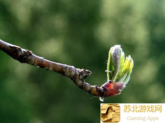 🗻仙山小农飞剑台 天外天 浮空山 小海岛探秘之旅！🚀