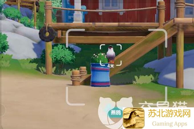 心动小镇奇灵夜大揭秘：6种神秘虫类出没攻略，让你心动不已！