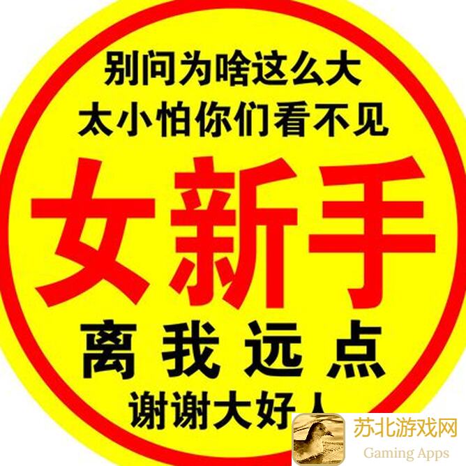 新手必看！流浪方舟十二胜阵容推荐与选择指南