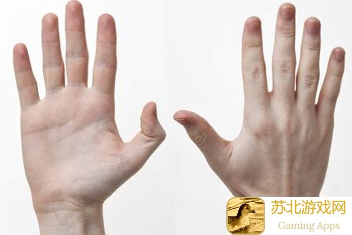 手残党必备！上古有灵妖山海最强输出女魃秘籍曝光