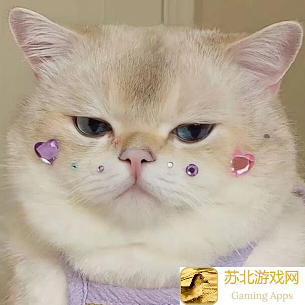 猫咪城市节奏榜：打造最强猫咪乐队！