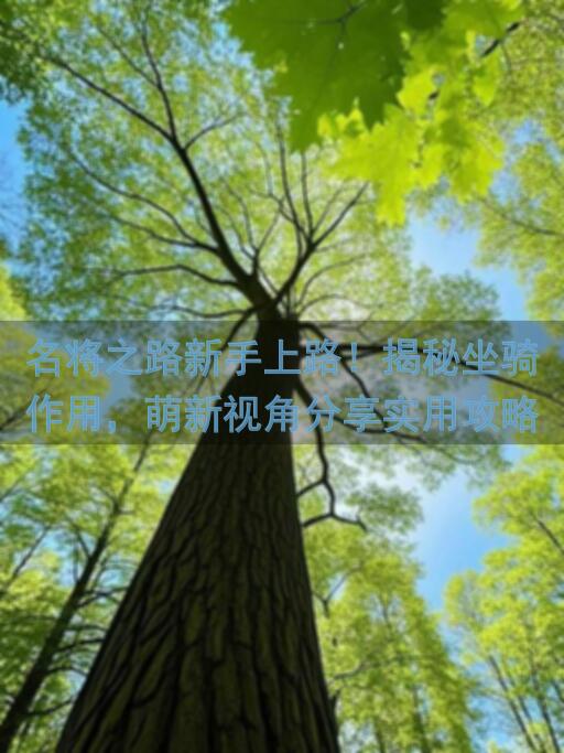 名将之路新手上路！揭秘坐骑作用，萌新视角分享实用攻略