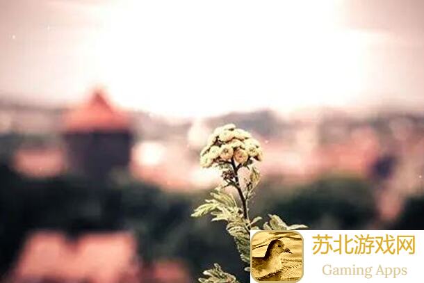 三国志吕布传：三十六计之走为上计，如何连击大破敌军？手把手教你!